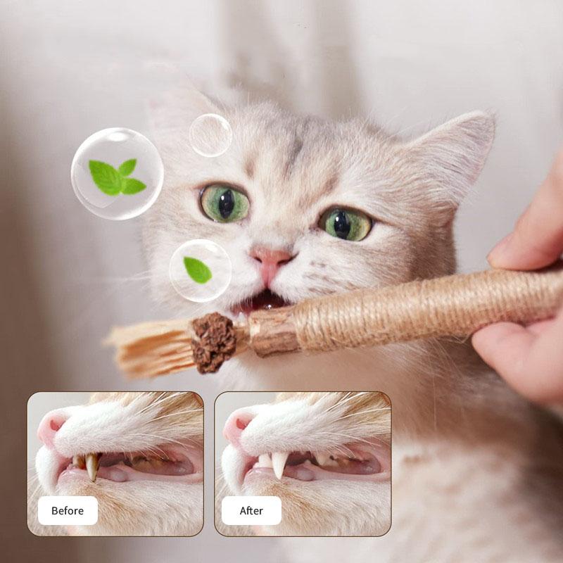 Кошачья травка для прорезывания зубов, игрушка для самостоятельного удовольствия, жевательная резинка для щенков, устойчивая к укусам, натуральные палочки для зубов, аксессуары для кошек