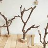 Log Tree Branch with Bottom Bracket Decoration Bookshelf Living Room Coffee Table Decoration Handmade Solid Wood Bracket(20cm)