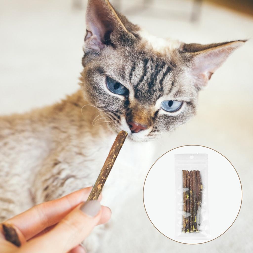 Натуральная кошачья мята, игрушка для домашних кошек, молярная зубная паста, ветка для чистки зубов, серебряная лоза мататаби, кошачьи лакомства, палочки