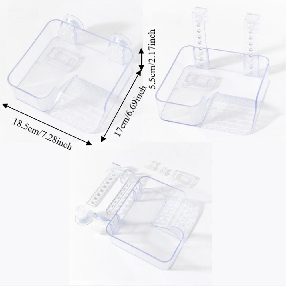 Transparent Tortoise Climbing Basking Platform  Aquatic Turtles Terrace