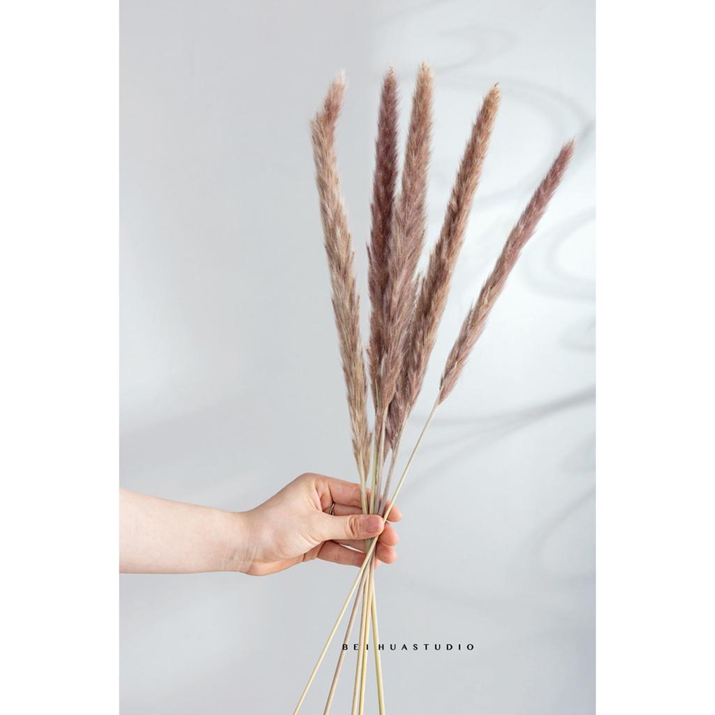 30шт сушеные украшения сушеные цветы вазы букет украшения в стиле бохо ветки