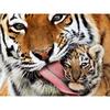 Полный 5D Diy Алмазная картина Мультфильм животных Тигр Мозаика Вышивка Крестом Домашний декор Ручная работа