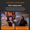 ShanShui C10 Portable Karaoke Machine with Display
