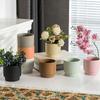 DIY Mini Ceramic Plant Pots Sturdy Succulent Pots Vertical Striped Planter Garden Supplies