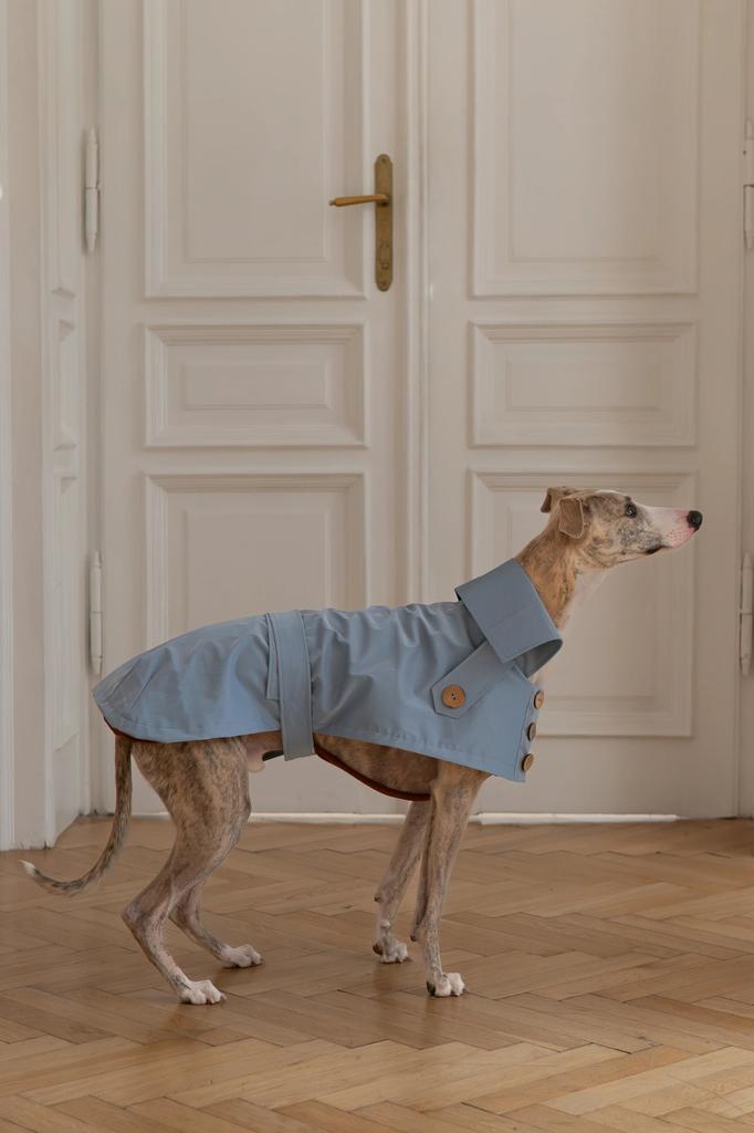 Water-repellent Dog Trench Coat - Light Blue 3