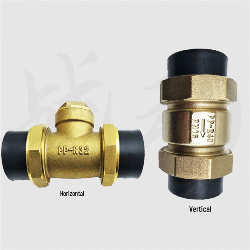 Zhandong PE Check Valve