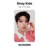 Stray Kids СДЕЛАЙ ЭТО ЭТО ВЕР. Официальная фотокарта