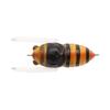 TIEMCO Noisy Trick Trout Tiny Cicada 34мм 2.7г Hornet TTTC-047 310600238047