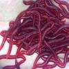 Plastic 50 Pcs/lot 4cm Smell Red Worm Lures Soft Bait Worms Fishing Takcle Grub Fish Toys