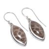 Natural Fossil Coral Gemstone 925 Solid Sterling Silver Gift Earring 1.50" y0T86