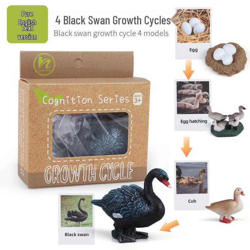 Montessori Animal & Plant Growth Cycle Teaching Toys for Kids