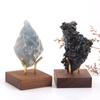 5cm Walnut Base Pedestal Jewelry Crystal Ball Base Stand Fixed Seat Display Stand Stone Gem Holder Desktop Ornament Home Decor