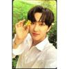 Stray Kids ОФИЦИАЛЬНАЯ ФОТОКАРТОЧКА ALBUM NOEASY