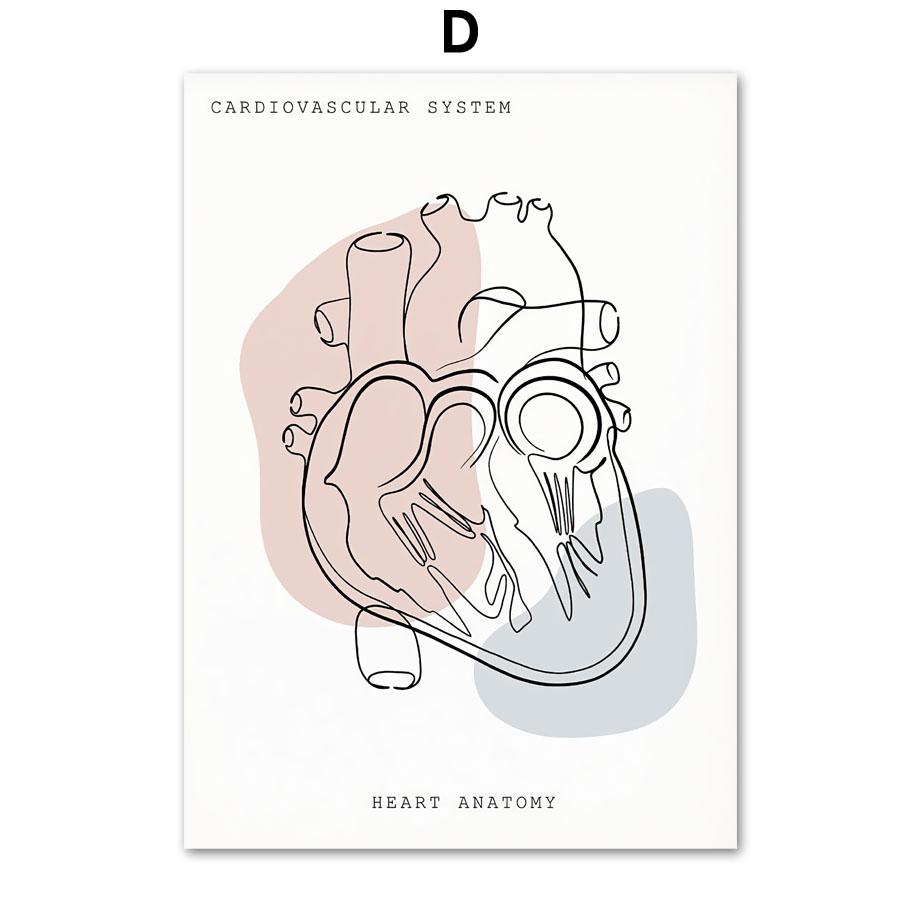 Минималистичный Красочный Анатомический Линия, медицинский плакат и принты, настенное искусство, ухо, гортань, сердце, холст, картина, доктор, подарок, декор для клиники