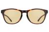 Sunglasses SPORTY SUNGLASSES Stylish UV Protection for Men [Zoff] Wellington-style [ZA221G02_49A1 ZA221G02-49A1 Brown] [5519-142]