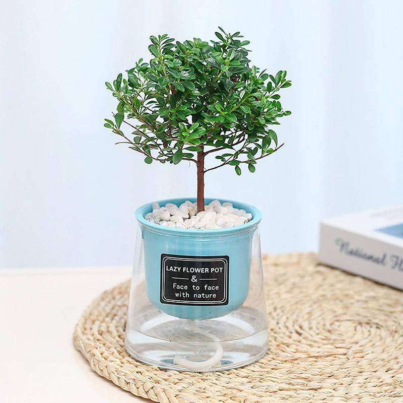 3.93Дюйма Ленивый Автоматический Впитывающий Горшок Горшок Гостиная Балкон Горшок Горшок