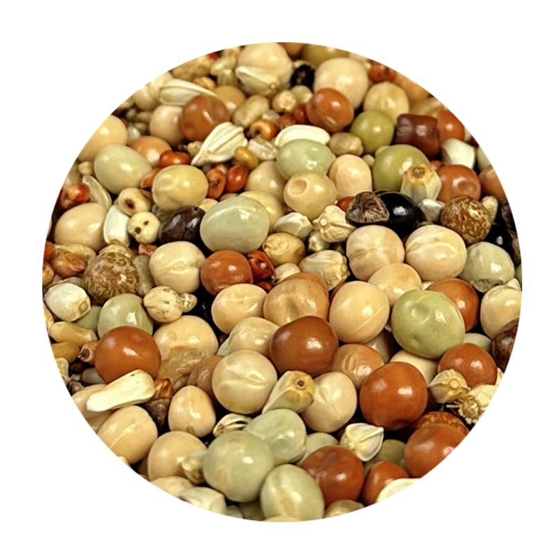 50 Jin Nutritional Pigeon Feed: Suitable for Homing, Fancy, Meat, Young, and Adult Pigeons