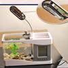 Fish Tank Mini Aquarium Beta Self Cleaning With LED Light LCD Display Screen And Clock Fish Tank For Office Home Decoration