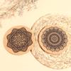 12Pcs Mandala Design Round Shape Wooden Coasters With Rack Round Cork Coaster