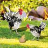 3x Chicken Decorative Garden Stakes Yard Signs Realistic Funny Lifelike Ornaments Animal for