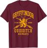 Футболка Harry Potter Gryffindor Quidditch Arch