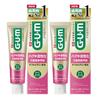 GUM Премиальная зубная паста (Уход за деснами Медицинская мята) 90 г x 2 [Квази-лекарственное средство]