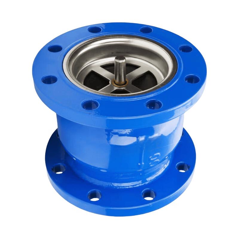 Rongyu DN125 Flange Silent Check Valve