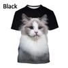 2024 Новые футболки с изображением животных Ragdoll Cat 3D, унисекс, повседневные футболки с коротким рукавом и принтом забавного котенка
