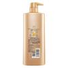 SURE Essential Oil Shampoo Series
