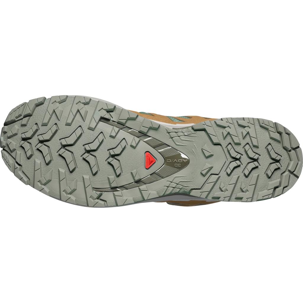 SALOMON Мужские кроссовки для трейлраннинга XA Pro 3D V9 492296