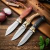 Kitchen Knife Household Hand-forged Super Fast Sharp Meat Cutting Small Kitchen Knife Outdoor Knife Stainless Steel