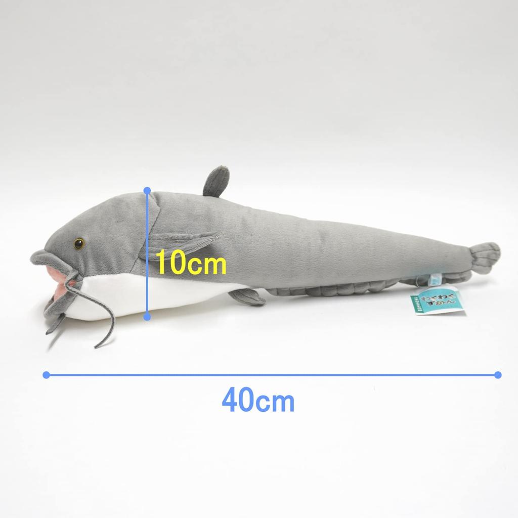 Exciting Picture Book - Freshwater Creatures Stuffed Animal (Catfish)