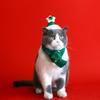 Green Pet Christmas Scarf Red Santa's Hat New Pet Winter Knitted Scarf  Dog