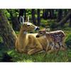 5D DIY Diamond Embroidery Mosaic Cross Stitch Kits Deer Diamond Painting Animals Picture Rhinestone Art Gift Handmade Home Decor