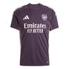 Arsenal Tiro 24 FW24 Training Comfortable Stylish Pullover Short Sleeve Football Shirt Men Tops Aurora-Black JF2915