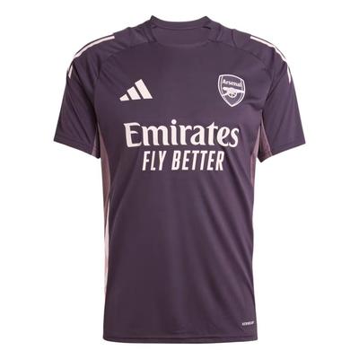 Arsenal Tiro 24 FW24 Тренировочная удобная стильная футболка с коротким рукавом для мужчин Aurora-Black JF2915
