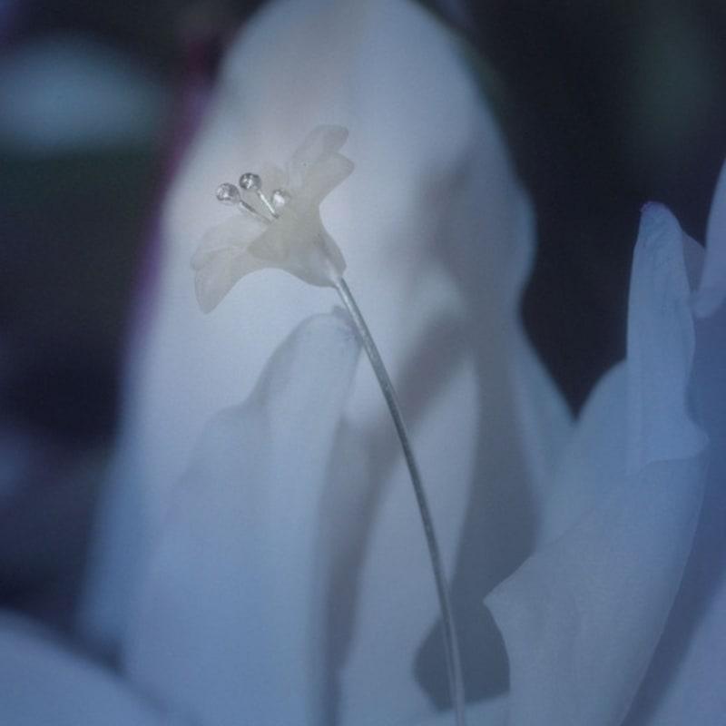 tomorrowobject 23FW. misty night. earring 05