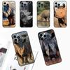 Animal Rhino Phone Case For iPhone 11 12 13 14 15 Pro Max Plus 12 13 Mini 7 8 SE X XR XS MAX Cover Shell
