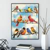 DIY Diamond Painting Birds of All Colors Cross Stitch Kit Mosaic Art Diamond Painting Full Circle/Square Diamond Home Decoration