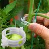 50Pcs Plastic Vine Plants Vegetables Support Clip Garden Greenhouse Holder Tool