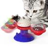Kitten Puppy Pet Training Toy Interactive Rotatable Plaything for Cat  Pet Training