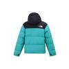 THE NORTH FACE Down Jacket Winter Men's Green NF0A3C8D-ZCV