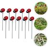 10Pcs Resin Ladybug Garden Stakes Decorative Outdoor Art for Spring Decor Ladybug Lawn Ornaments Garden Decorations for Home and Patio
