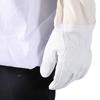 Beekeeping Veil Suit Smock Hive Frame Holder Gloves Bee Brush Tool Equipment