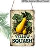 2D Flat, Vintage Yellow Squash Aluminum Sign - Retro Farmhouse Vegetable Wall Decor Farmhouse Decor, Kitchen Decor, Garden Decor, Vegetable Market