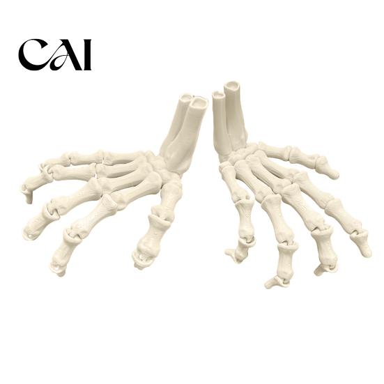 Festive Scary Home Decor Halloween Skeleton Hands, 3D Printed Hand Bones Model, Realistic Creative Holiday Atmosphere Spooky Bone Claw Prop for Party