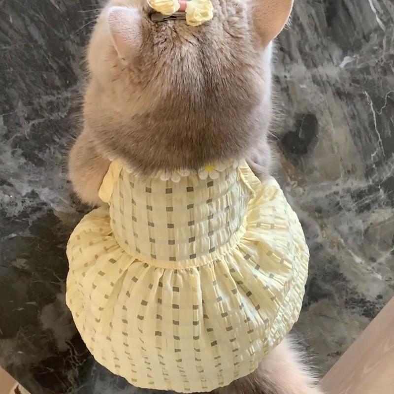 Юбка-кошечка весна/лето: Платье с градиентом против выпадения шерсти для кошек и щенков