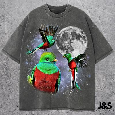 Three Resplendent Quetzal Retro Graphic Tshirts, Vintage Tropical Bird Moon Shirt, Quetzal Lovers Gift Tee, Funny Exotic Wildlife Tshirt