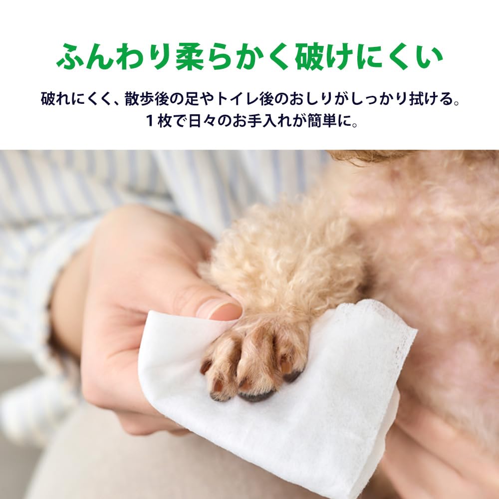 Iris Ohyama Pet Wet Safe Even If 80 wipes x 8 packs Wipes, Alcohol-Free, Licked, DPWT-8P, [640 wipes]