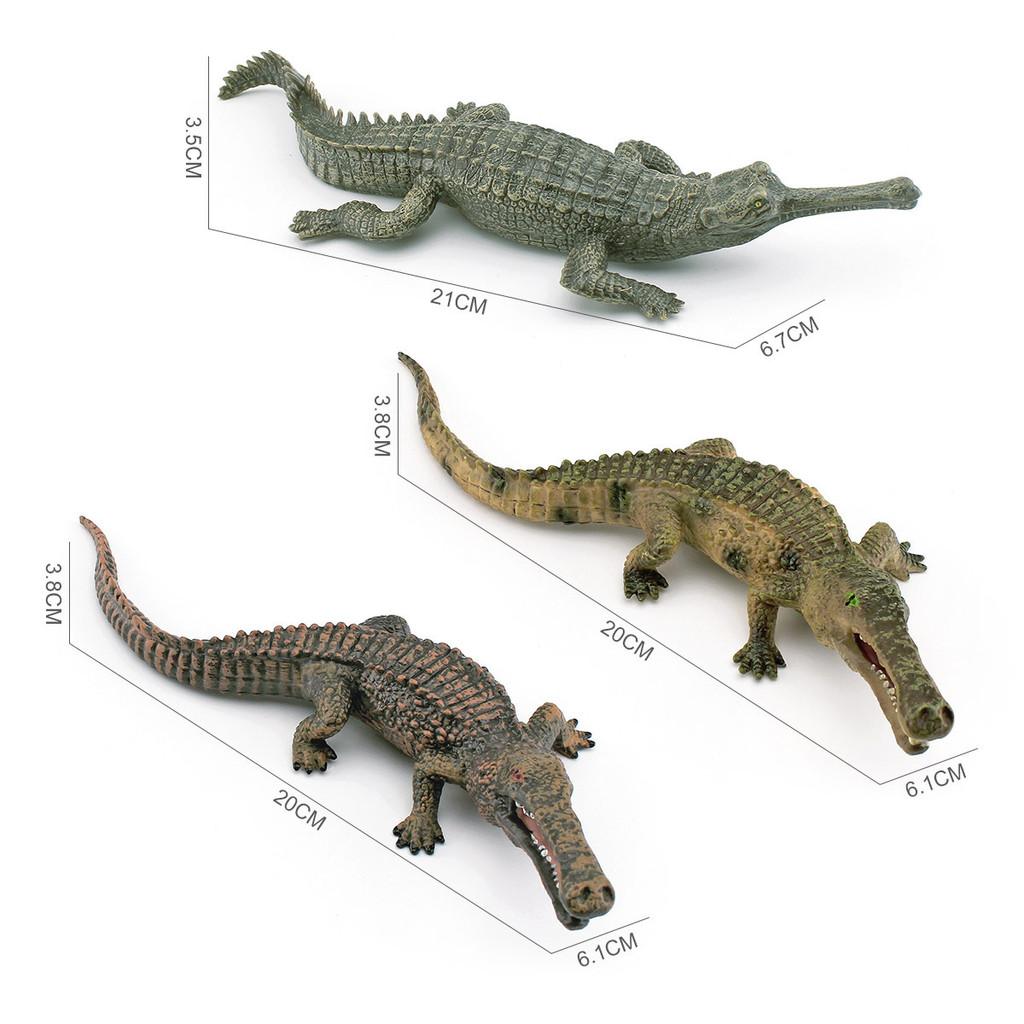 Crocodile Models Lifelike In Pvc Featuring Long Snouted And Emperor Crocodile Static Displays